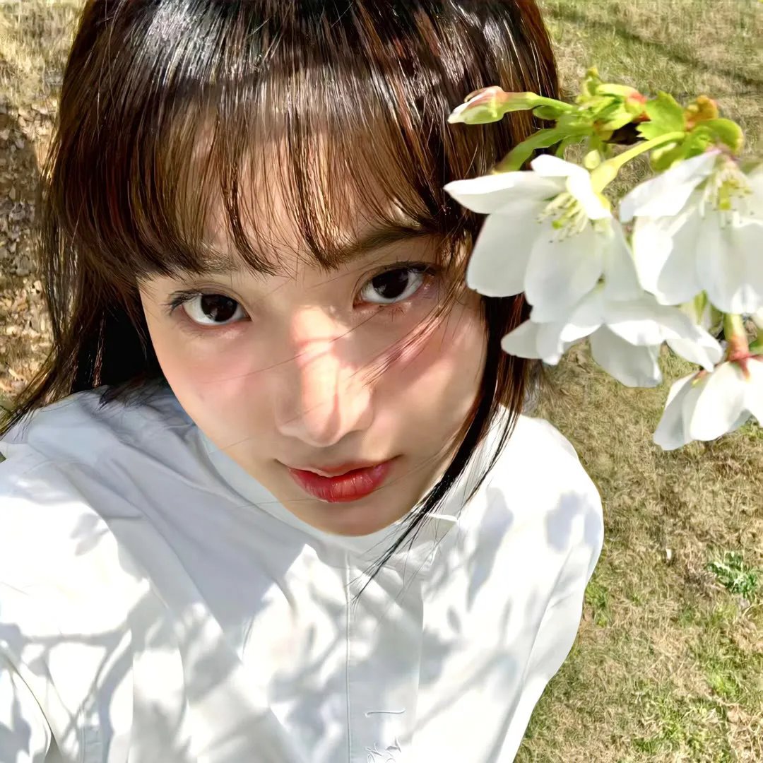 虎豹小霸王前传